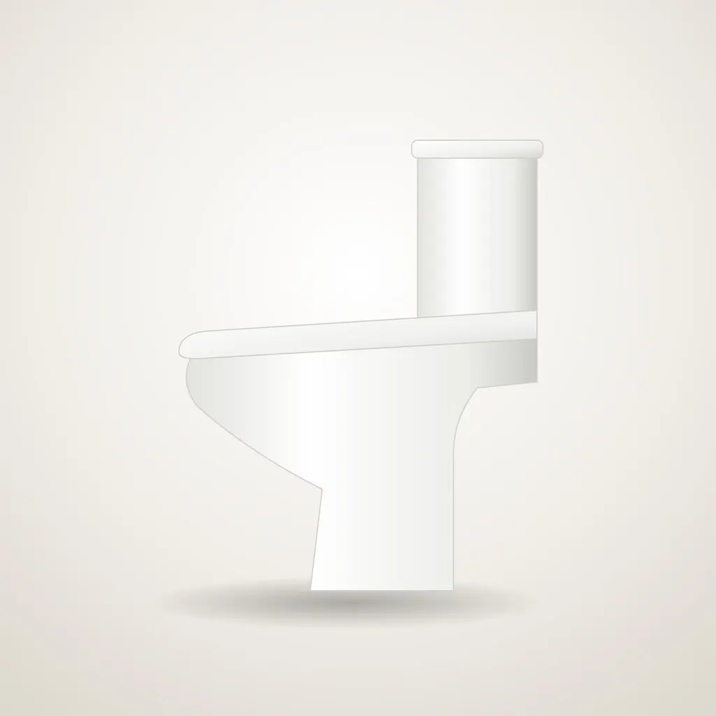 One-piece Floor-mounted WC (illustration)